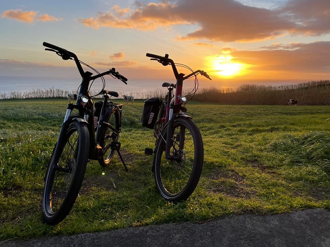 ciclismo